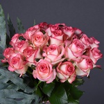 Букет из 25 двухцветных роз Джумилия