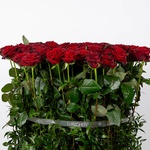 “Red Luxury” composition in gold