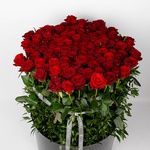 Композиція “Red Luxury”