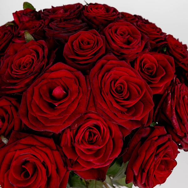 Bouquet of 51 red roses Grand Prix