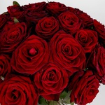 Bouquet of 51 red roses Grand Prix