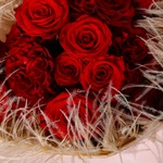 «Бархатное признание»