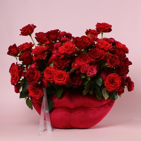 Composition "Velvet Accent"