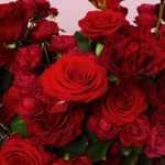 Composition "Velvet Accent"