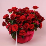 Composition "Velvet Accent"