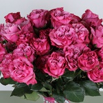 Букет 51 троянда Кантрі Блюз
