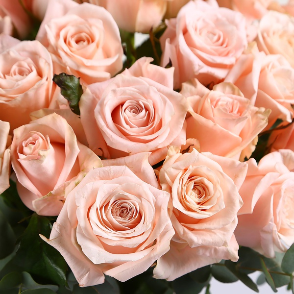Букет із 35 кремових троянд Кімберлі