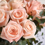 Букет із 25 кремових троянд Кімберлі