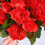 Букет з 35 троянд Корал Ріва
