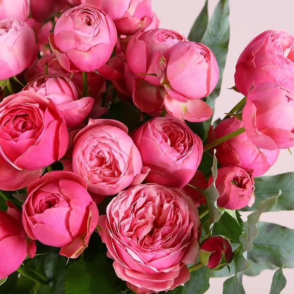 Букет з 9 троянд Сільва Пінк