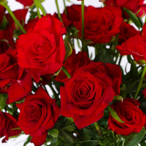 Bouquet “Passion”