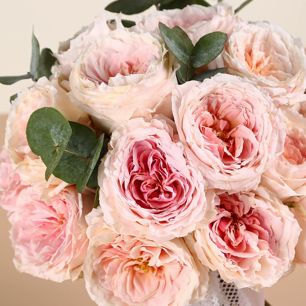 Букет з 25 троянд Девід Остін