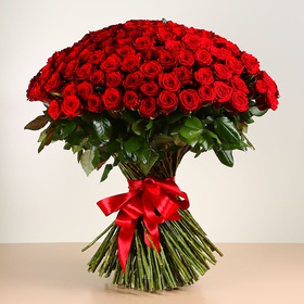 Bouquet of 201 red roses Marry Me