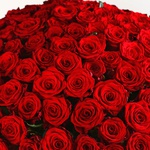 Букет з 201 червоної троянди Меррі Мі