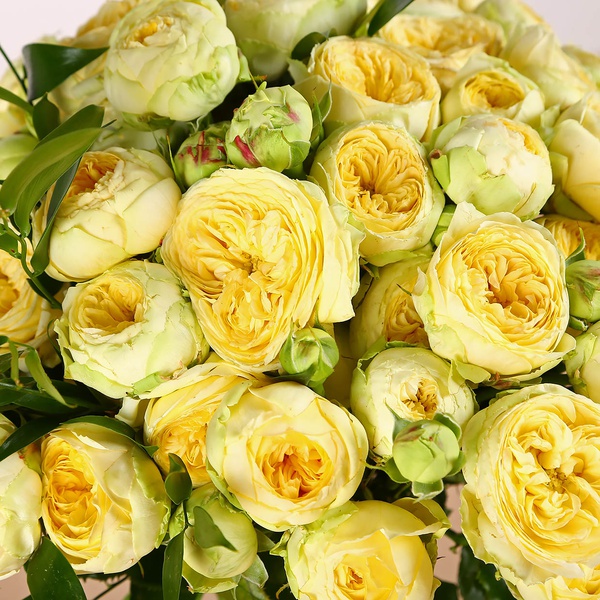 Bouquet of 25 yellow roses Peony Bubbles