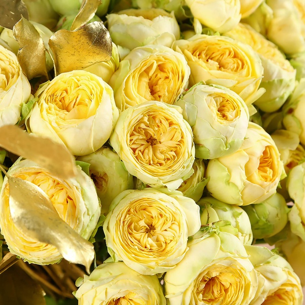 Букет из 35 желтых роз Пиони Бабблз