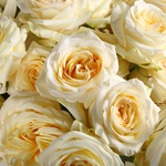 Букет з 35 троянд Кендл Лайт