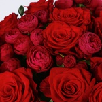 Букет «Красное — это Любовь»