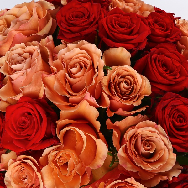 Букет “Пудровий Шик”