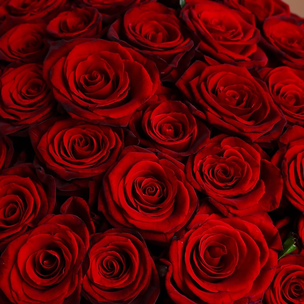 Букет з 101 червоної троянди Гран Прі