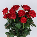 Bouquet of 15 roses Mary Mee