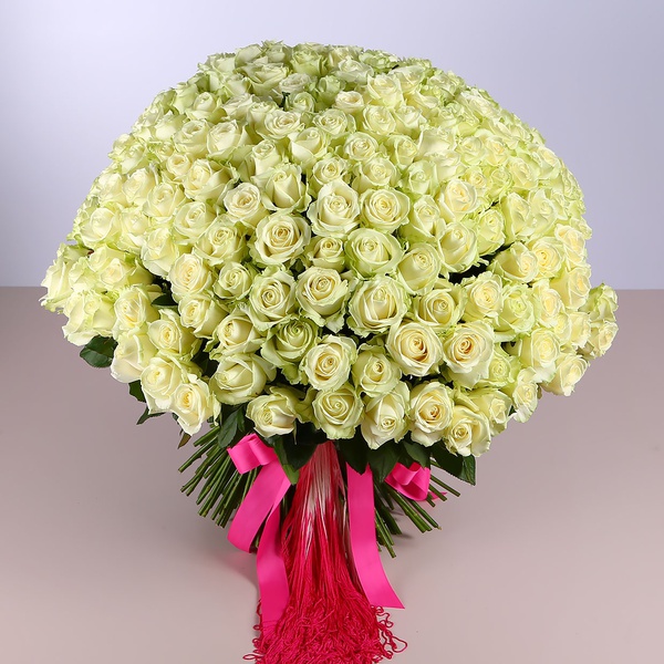 Bouquet of 201 white roses