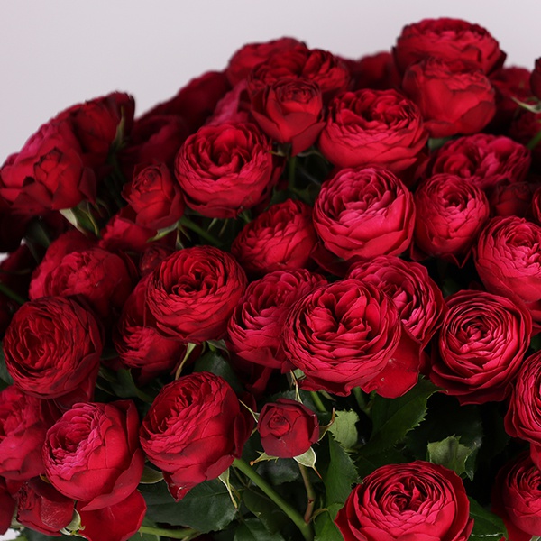 Bouquet of peony roses "Exquisite Burgundy"