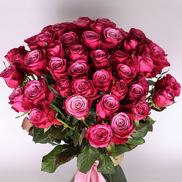 A bouquet of 51 premium pink roses