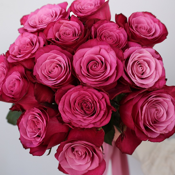 A bouquet of 25 premium pink roses