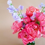 Bouquet with peonies and latirus "My fair lady"