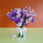Bouquet of 31 fragrant latirus
