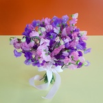 Bouquet of 31 fragrant latirus