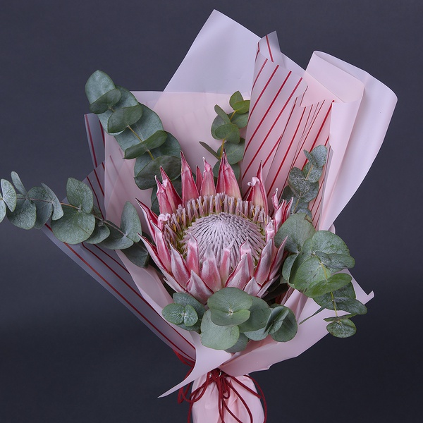 Protea with eucalyptus