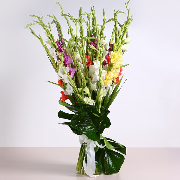 Bouquet of 35 gladioli mix