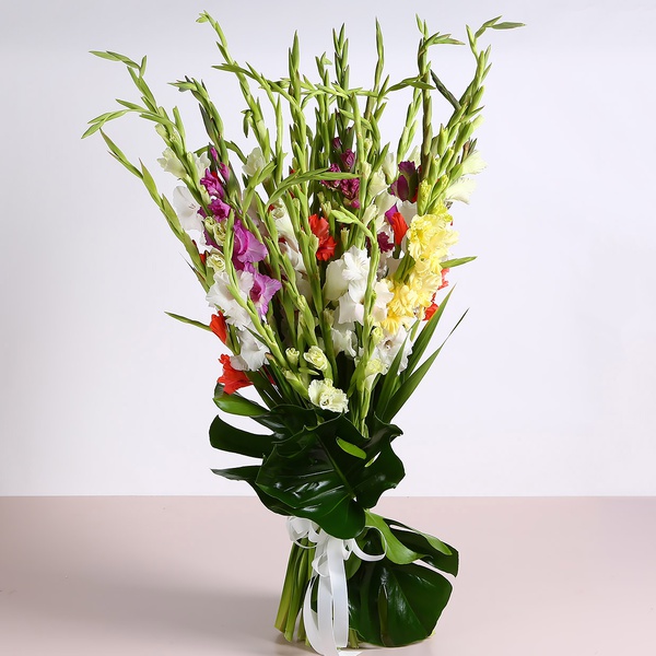 Bouquet of 35 gladioli mix
