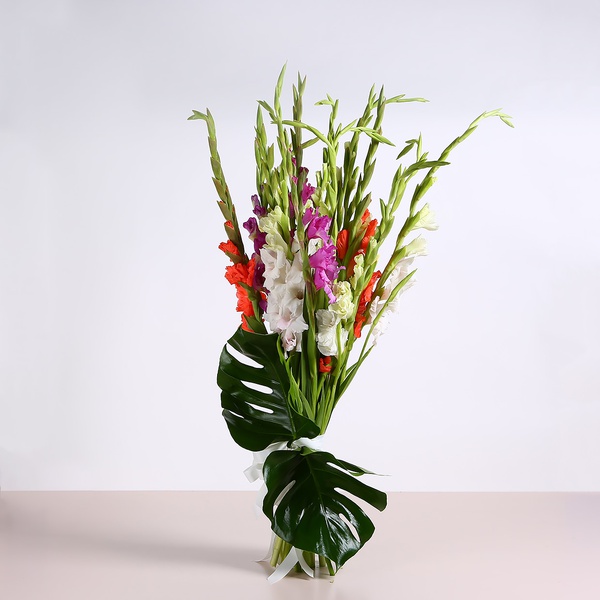 Bouquet of 15 gladioli mix