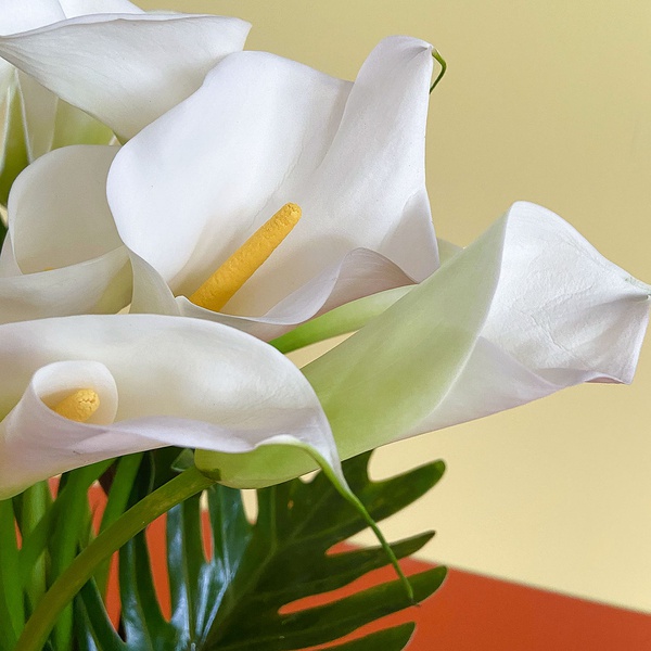 Bouquet of 37 white calla lilies