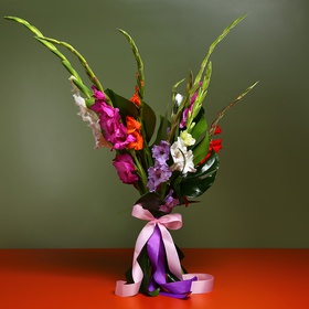 Bouquet of 9 gladioli