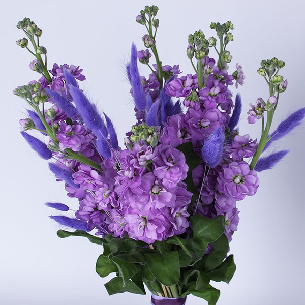 Bouquet "Lilac Matiola" S