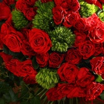 Букет з 101 червоної троянди та зелені
