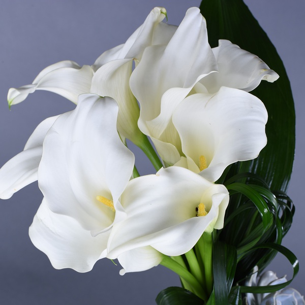 Mono bouquet of 11 white calla