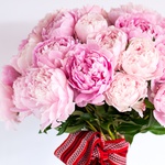 Bouquet "Pink peonies"