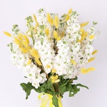 Bouquet "White matiola and sunny lagurus"