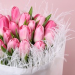 “Nazhna Vual: 25 Pink Tulips”