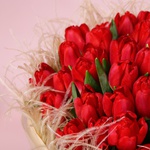 «Полум’я пристрасті: 51 червоний тюльпан»