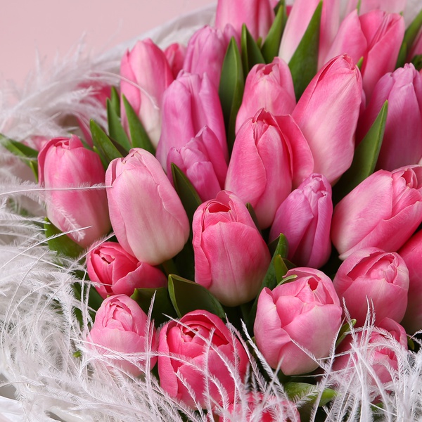 «Нежная вуаль: 51 розовый тюльпан»