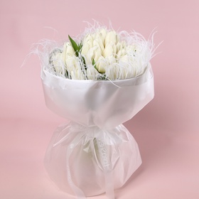 “Breath of Light: 51 White Tulip”