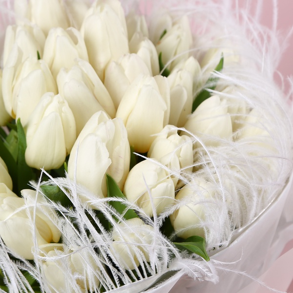 «Подих світла: 51 білий тюльпан»