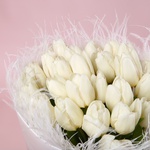 «Дыхание света: 25 белых тюльпанов»