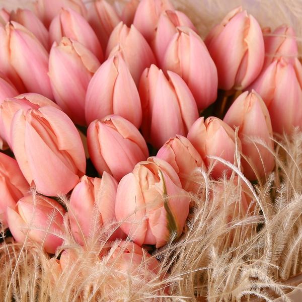 «Лососевая вуаль: 51 тюльпан»